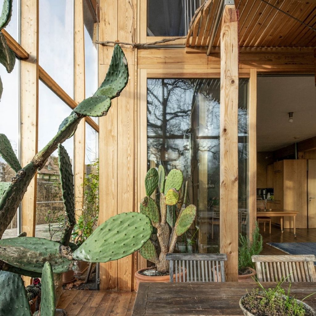 Cabaña con diseño biofílico y plantas proyecto Merz Haus