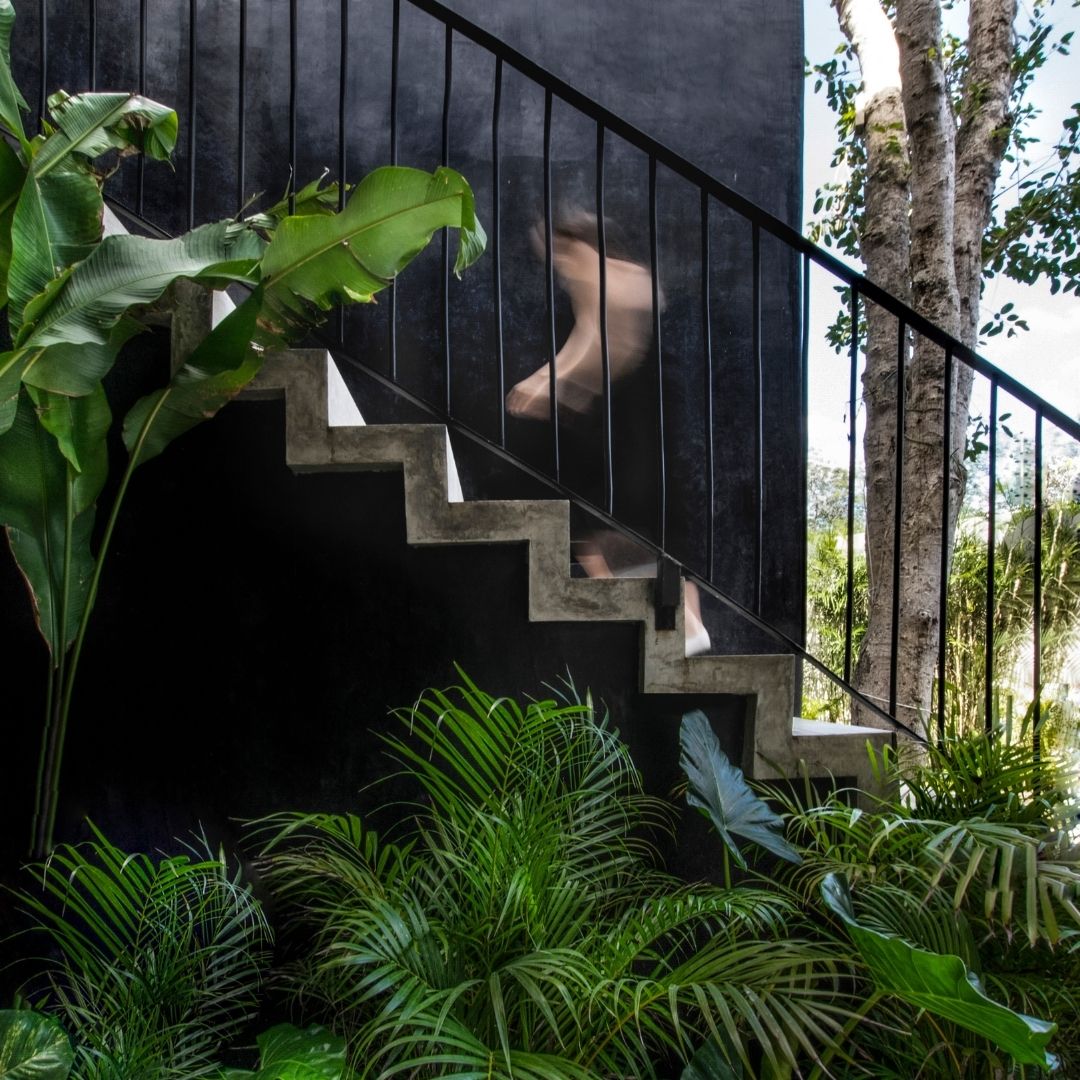 Villa Lagú diseño biofílico con árboles y plantas
