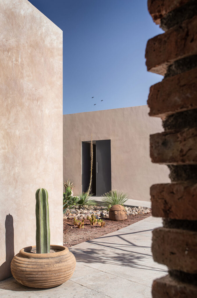 Bureo Terraza Jardín | Arquetipo Buró de Arquitectura Fotografía por Paulina Ojeda