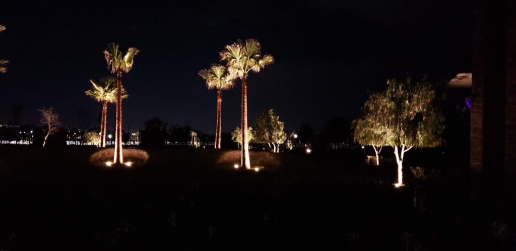 Iluminación de Jardines | Luz en la Naturaleza