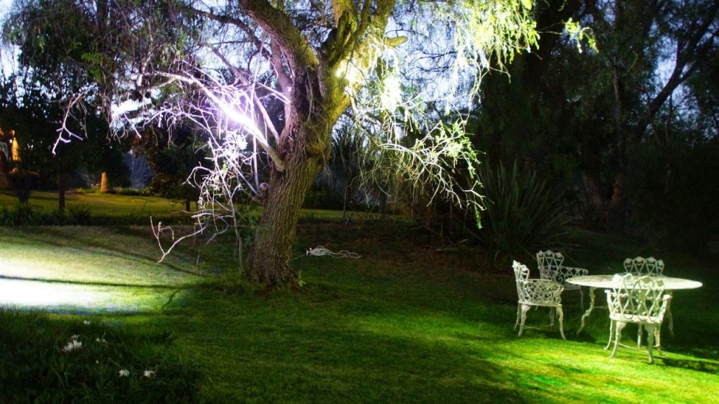 Iluminación de Jardines | Luz en la Naturaleza