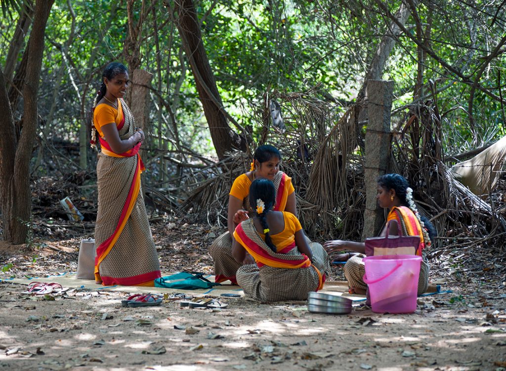 Mujeres indias en sari descansando en el bosque.
Foto: Shutterstock