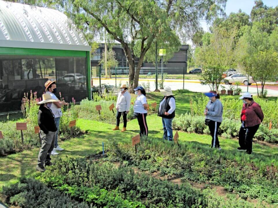 Jardines Polinizadores