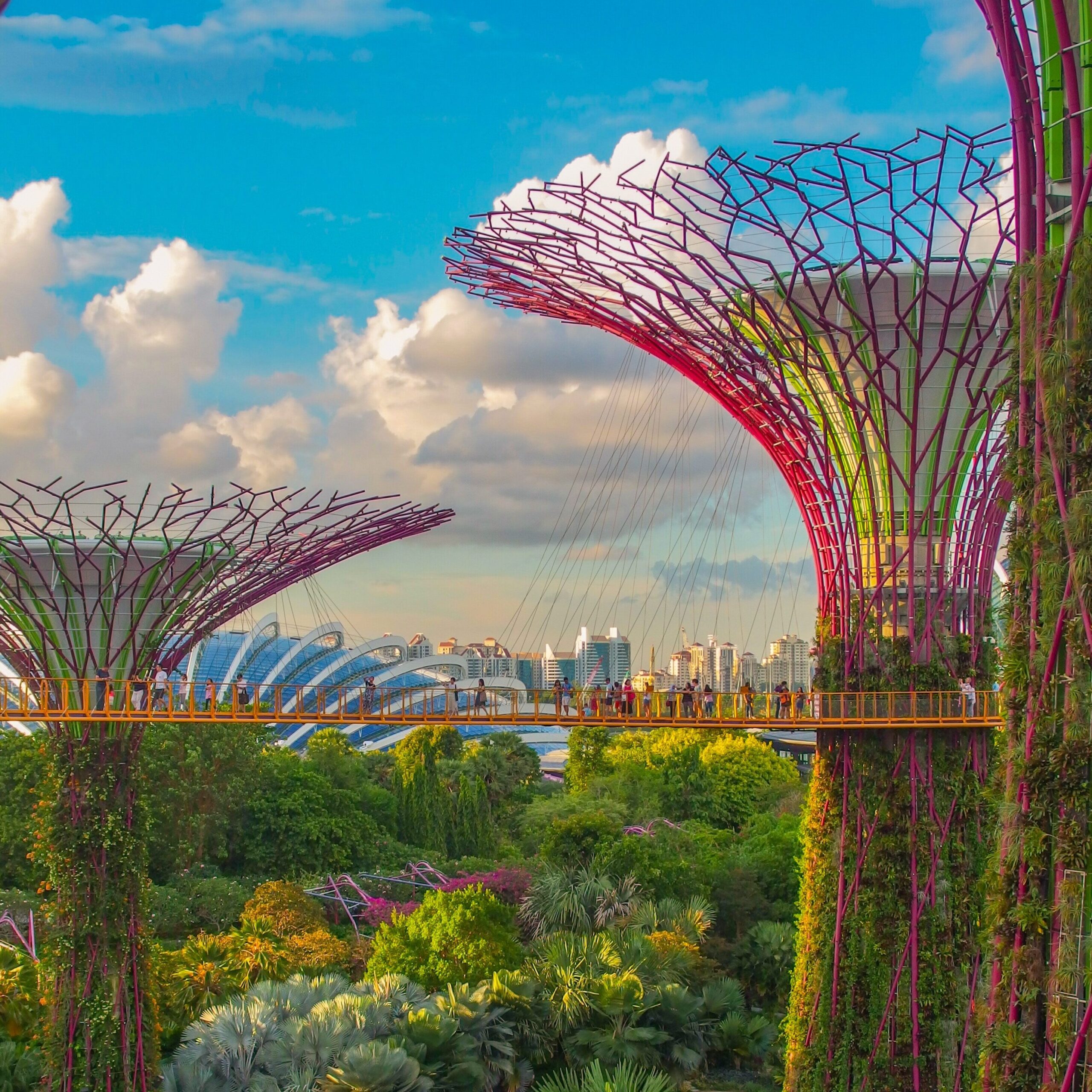 JARDINES DE LA BAHIA / SINGAPUR / ARQUITECTURA SUSTENTABLE