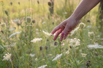 ¿Cómo lograr wellness en vivienda?