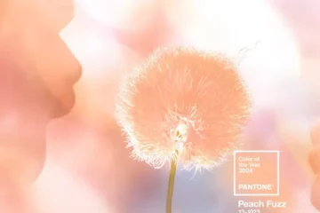 PEACH FUZZ COLOR 2024