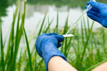 Persona con guantes azules evaluando las características medioambientales de un ecosistema en el nuevo residencial Bosque Central